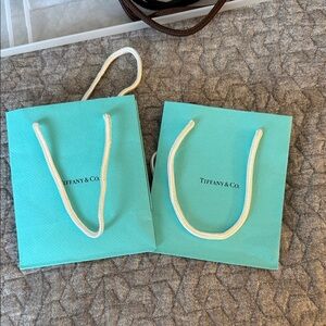 Tiffany & Co. Iconic Blue Gift Bag